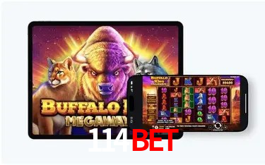 Tecnologia da Plataforma 114bet